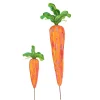 Artful Whole Carrot
