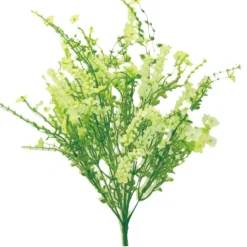 Baby's Breath Filler Bush