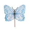 Beck’s Blue Butterfly, Large