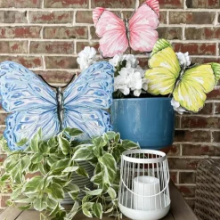 Beck’s Blue Butterfly, Large