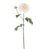 Beige Dahlia Stem