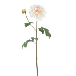 Beige Dahlia Stem