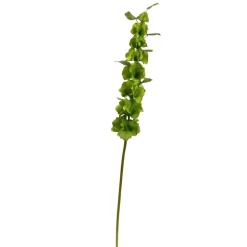 Bells of Ireland, 29"