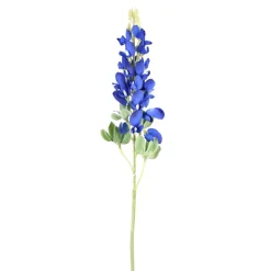 Blue Bonnet Stem