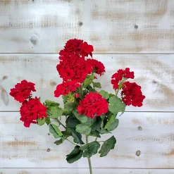 Bold Red Geranium Spray