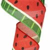 Bold Watermelon Ribbon 2.5"X50YD