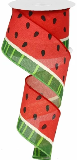 Bold Watermelon Ribbon 2.5"X50YD