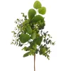 Boxwood and Eucalyptus Pick