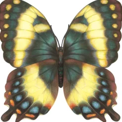 Butterfly Placemat Set