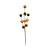 Cake Pop Sprinkle Spray