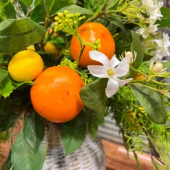 Citrus Garden Arrangement