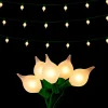 Connectable Matte Kismet String Light, 14'
