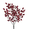 Cranberry Berry Bush