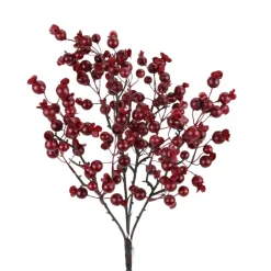 Cranberry Berry Bush