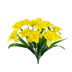 Daffodil Bush