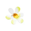 Daisy Magnet