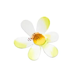 Daisy Magnet