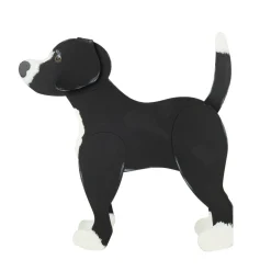 Dress Up Pet, Rescue Dog