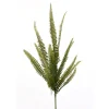 Enchanted Fern Spray