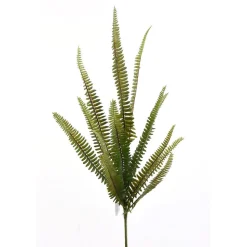 Enchanted Fern Spray