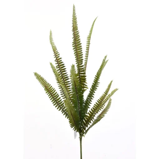 Enchanted Fern Spray
