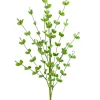 Green Filler Spray