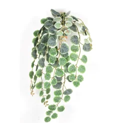 Henna Bush