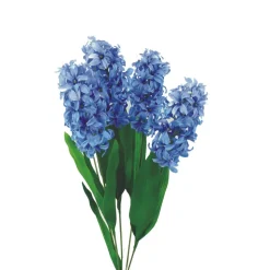 Hyacinth Bush