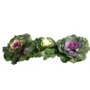 Large Leafy Cabbage
