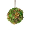 Larger Green Brown Succulent Orb