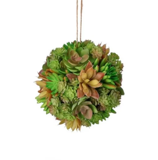 Larger Green Brown Succulent Orb