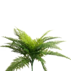 Leafy Fern Spray