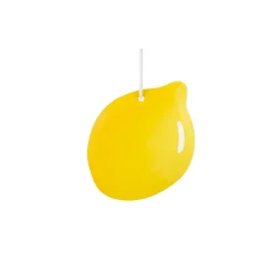 Lemon Garland Charms