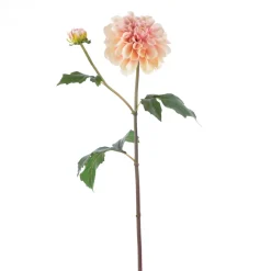 Light Mauve Dahlia Stem