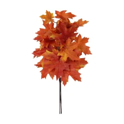 Maple Leaf Bush