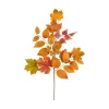 Maple Leaf Spray