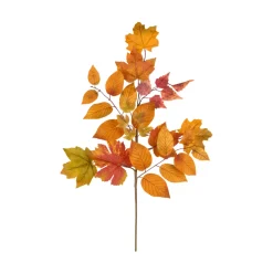 Maple Leaf Spray