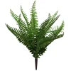 Mixed Fern Bush