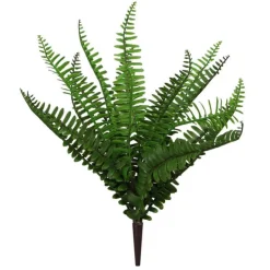 Mixed Fern Bush