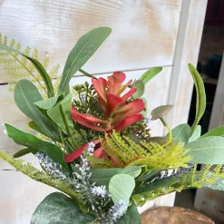 Mixed Succulent Bundle Pick