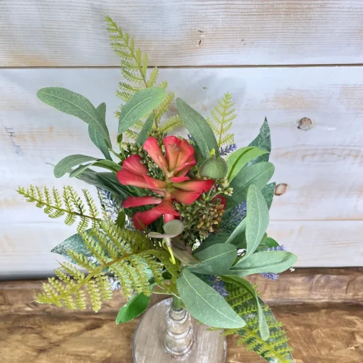 Mixed Succulent Bundle Pick