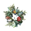 Mixed Succulent Wreath 6"