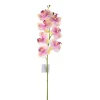 Natural Touch Orchid Phalaenopsis Stem