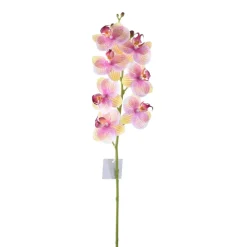Natural Touch Orchid Phalaenopsis Stem