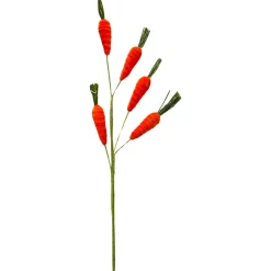 Orange and Green Carrot Spray