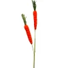 Orange Carrot Spray