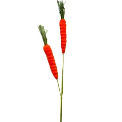 Orange Carrot Spray