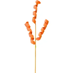 Orange Curly Spray