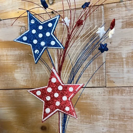 Patriotic Polkadot Star Spray