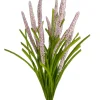 Pink Foxtail Bush